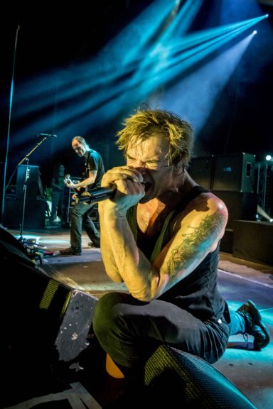 Die Toten Hosen